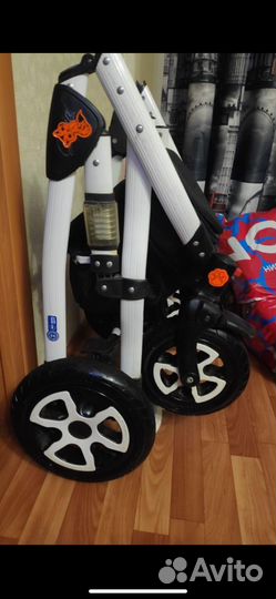 Коляска adamex gloria