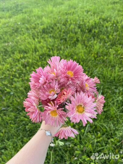 Цветы на 1 сентября