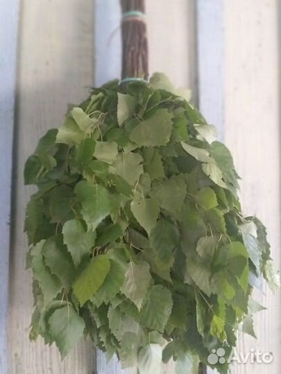 Берёзовый Веник