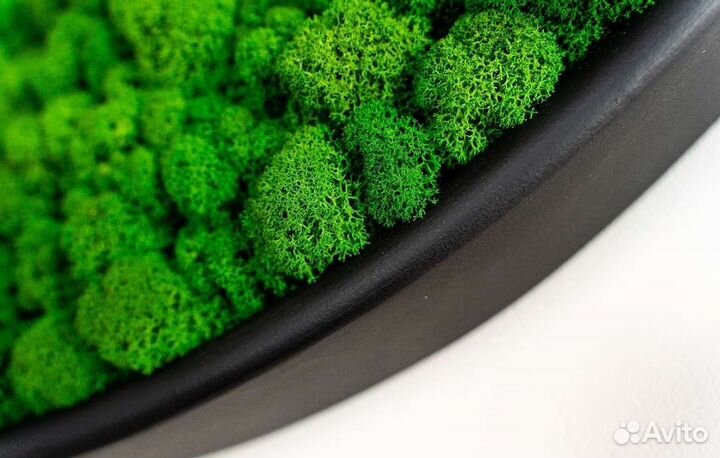 Круглая картина из стабилизированного мха