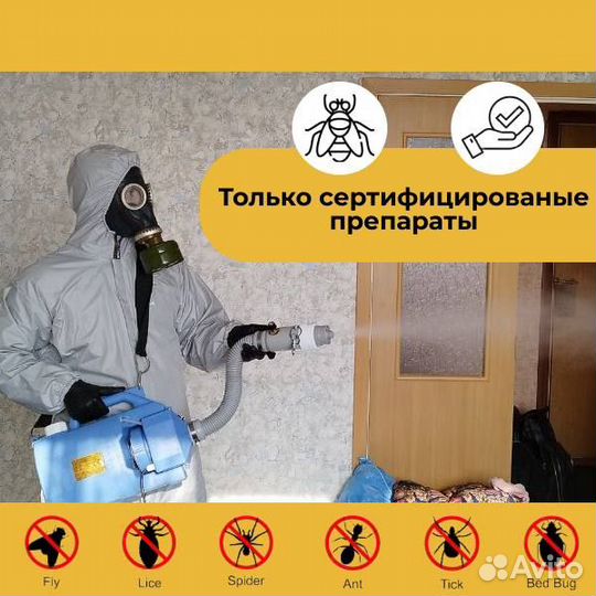 Дезинфекция