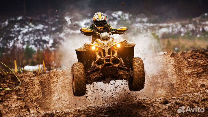 Обучение на спецтехнику