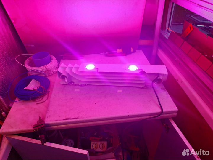 Фитолампа led 100 watt