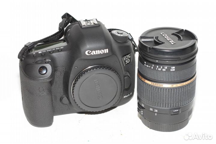 Canon 5D Mark 3 (+Тамрон 28-75 f2.8)