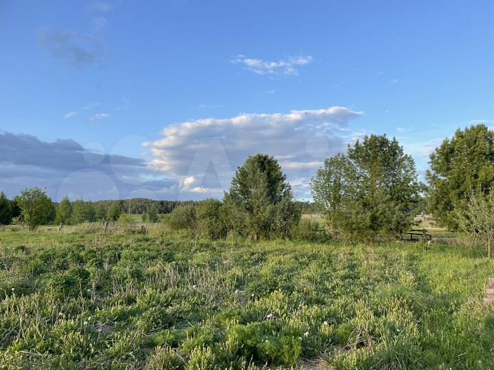 Дом 53,3 м² на участке 54 сот.