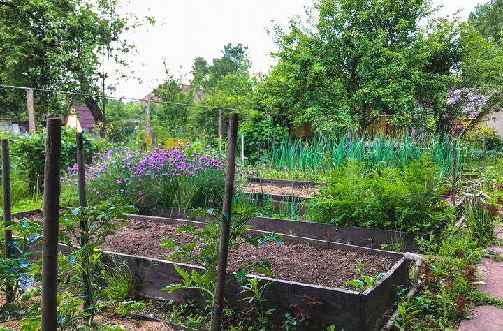 Дача 65 м² на участке 6 сот.