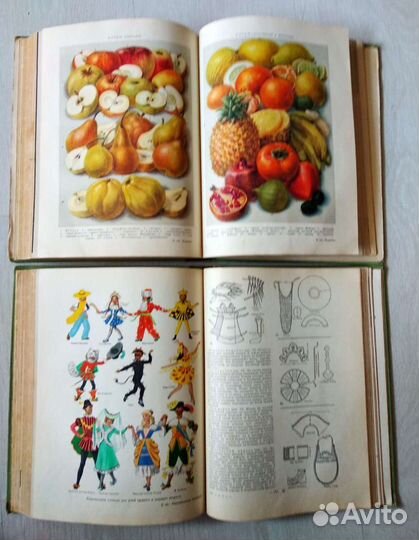 Книга энциклопедия домашнего хозяйства 1959 сссг