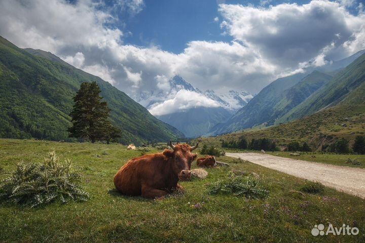 Фототур на Кавказ 6-13 августа