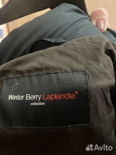 Куптка зимняя