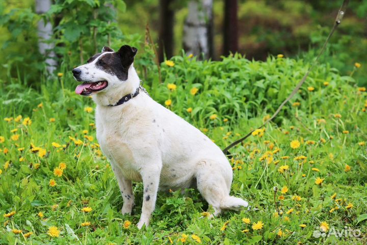 Лера ждет вас