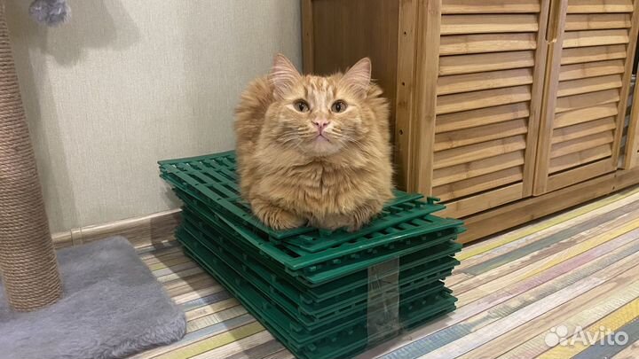 Аксессуар трапик