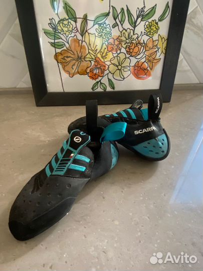 Скальные туфли Scarpa Instinct S Black/Azure 35 EU