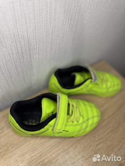 Сороконожки