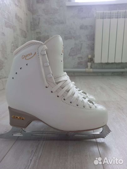 Коньки для фигурного катания edea Chorus р. 235