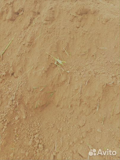 Земля серая (верхний слой)