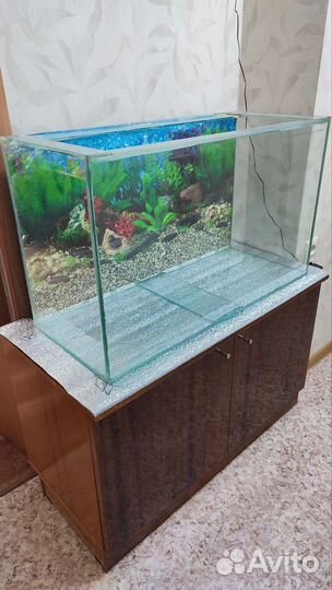 Аквариум