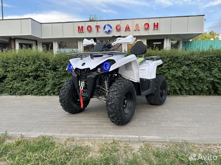 Новый квадроцикл motoland shark 200 лебедка
