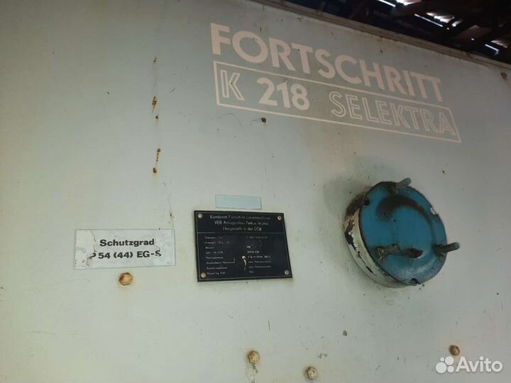 Зернометы, пектуса