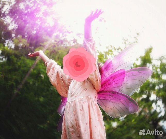 Крылья феи (аренда)