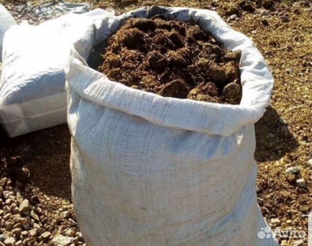 Конский перегной