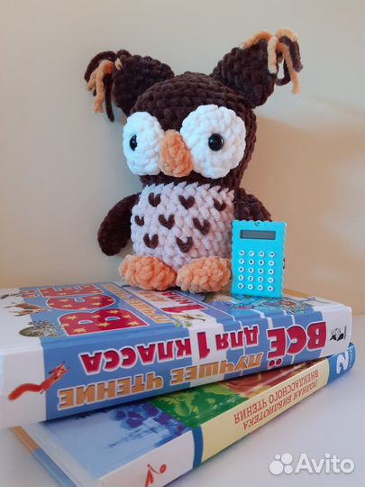 Подарок к 1 сентября. Совенок, ручная работа