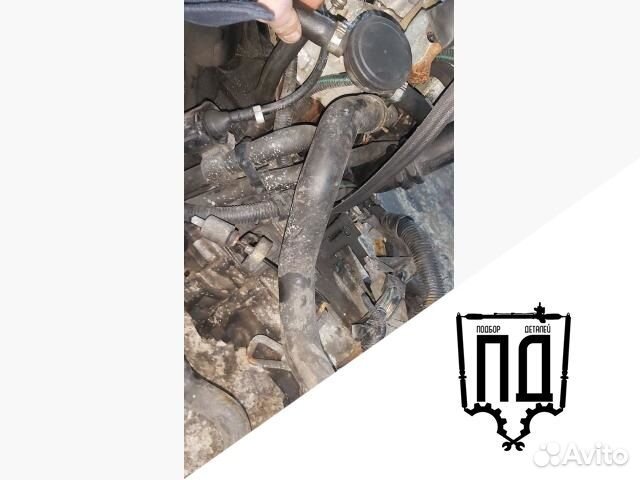 Патрубок радиатора Renault Kangoo