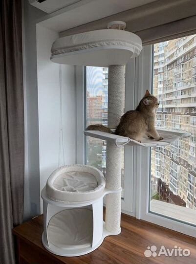 Когтеточка для кошек с домиком