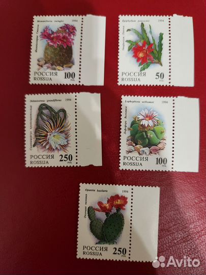 Марки России. 1994. Кактусы