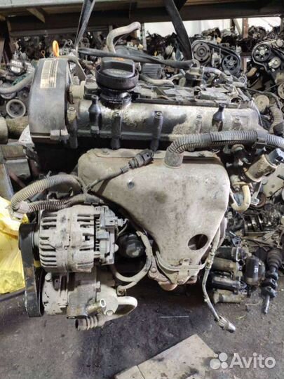 Двигатель Volkswagen Polo 4 (2001 - 2009) 1.4 BBY