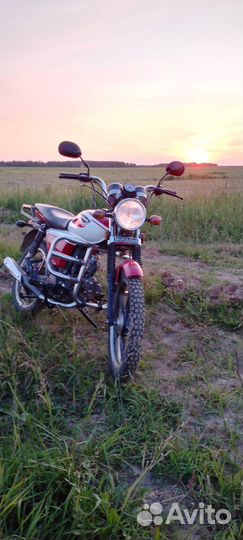 Альфа Rx11