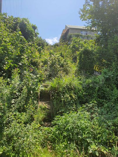 Участок 4,8 сот. (СНТ, ДНП)