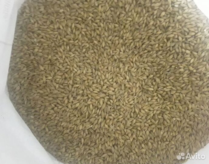 Солод, хмель, дрожжи