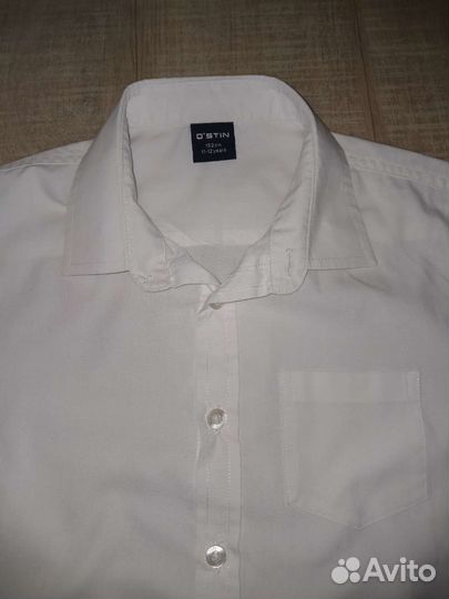 Поло и рубашка с коротким рукавом