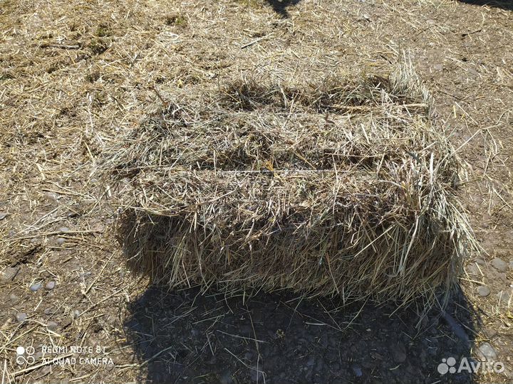 Сено и солома
