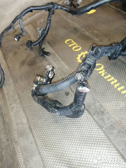 Проводка двигателя Nissan Teana J32 (2008 - 2014)