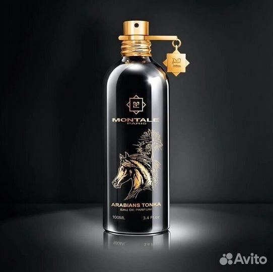 Montale Arabians Tonka