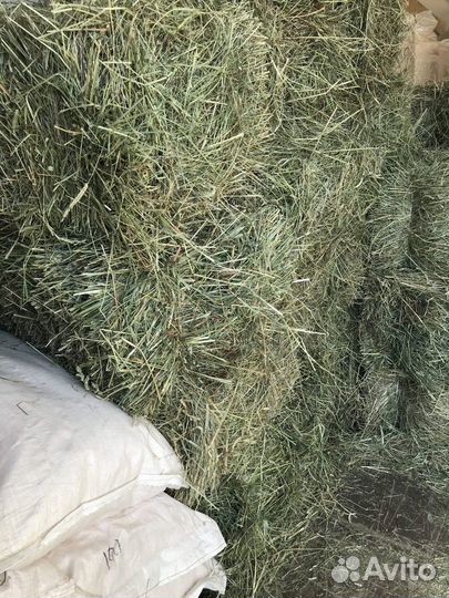 Сено разнотравье/эспорцет в тюках