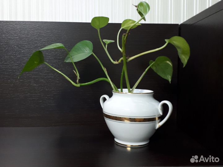 Сахарница лфз золотая лента винтаж