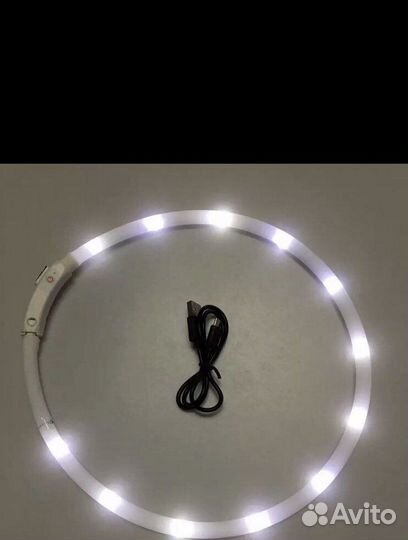 Ошейник светящийся