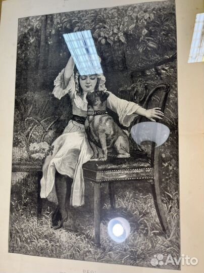 Гравюра мопс собака девочка антиквариат