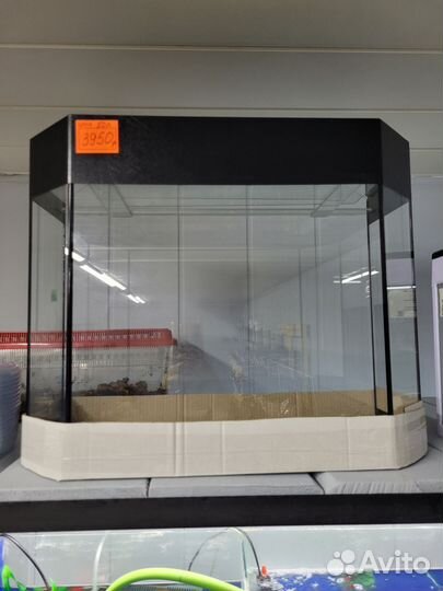 Аквариумные рыбки,аквариумистика