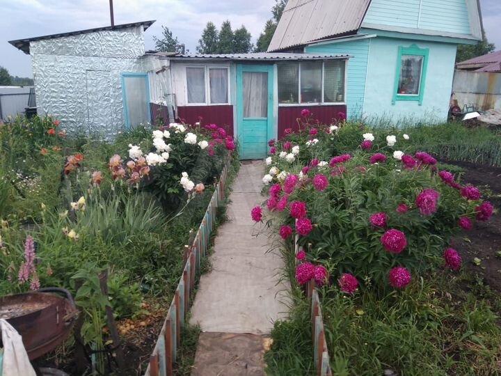 Участок 10 сот. (СНТ, ДНП)