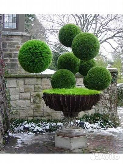 Топиарные фигуры