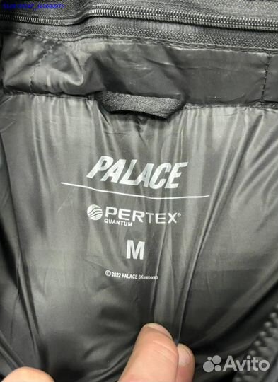 Palace: зимний пуховик для мужчины с вкусом