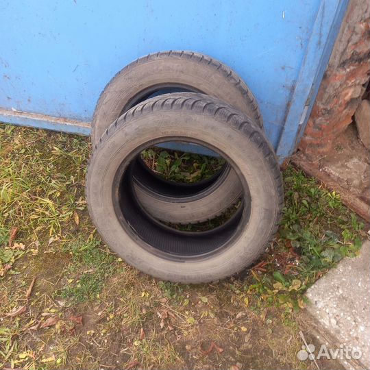 Nordman 5 195/60 R15 60