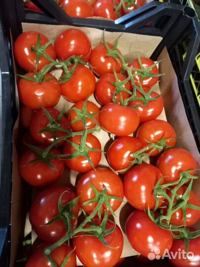 Овощи фрукты оптом, доставка есть