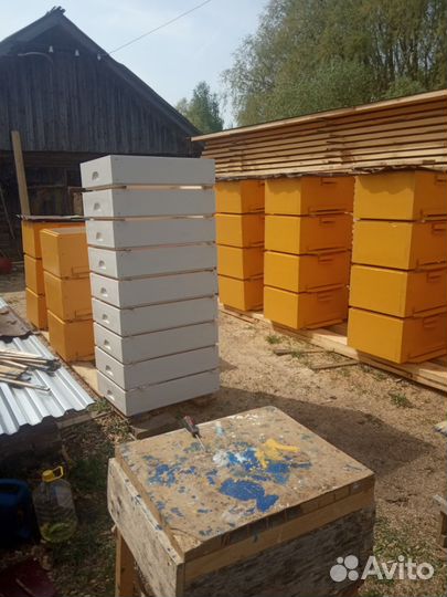 Улья для пчел