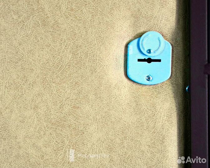 Дверь входная металлическая