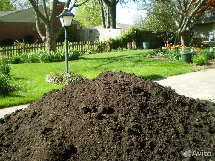 Плодородная земля. Чернозем