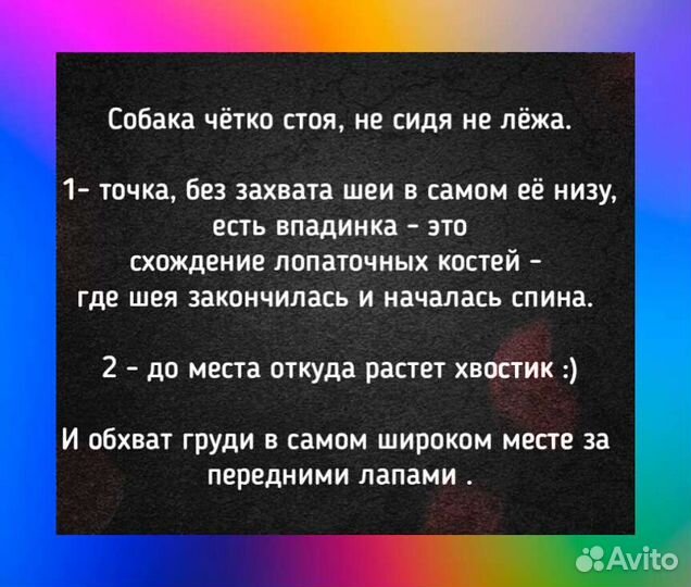 Дождевики для корги for my dogs